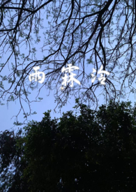 当我嫁人后，剧情突然变得不对劲起来