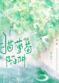 猫薄荷陷阱