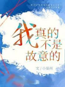 我真的不是故意的