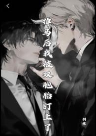 掉马后我被双胞胎盯上了（兄弟丼）